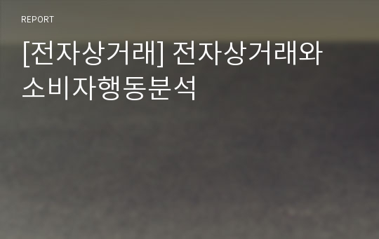 [전자상거래] 전자상거래와 소비자행동분석