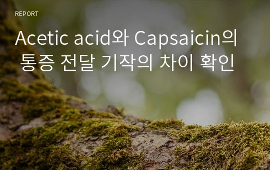 Acetic acid와 Capsaicin의 통증 전달 기작의 차이 확인