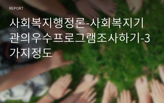 사회복지행정론-사회복지기관의우수프로그램조사하기-3가지정도