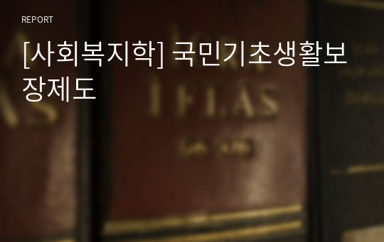 [사회복지학] 국민기초생활보장제도