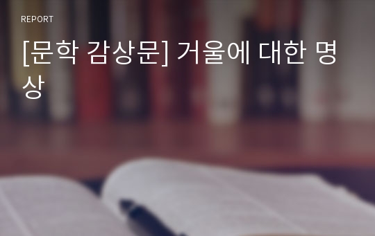 [문학 감상문] 거울에 대한 명상