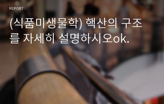 (식품미생물학) 핵산의 구조를 자세히 설명하시오ok.