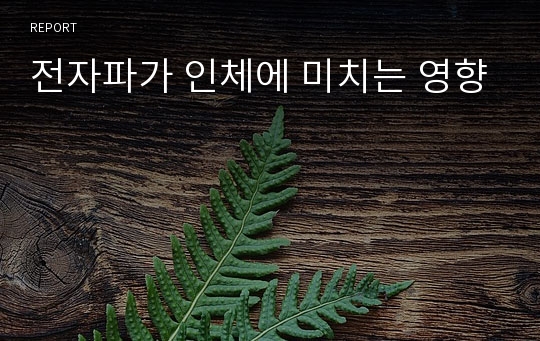 전자파가 인체에 미치는 영향