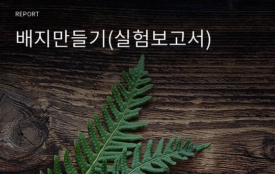 배지만들기(실험보고서)