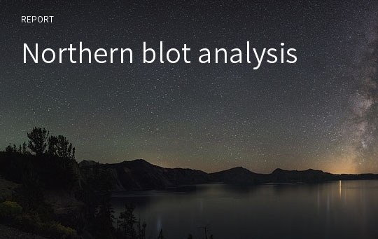 Northern blot analysis