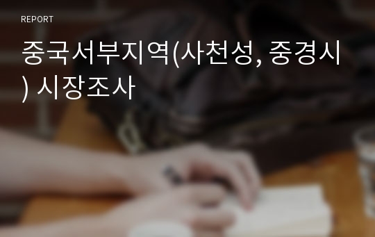 중국서부지역(사천성, 중경시) 시장조사