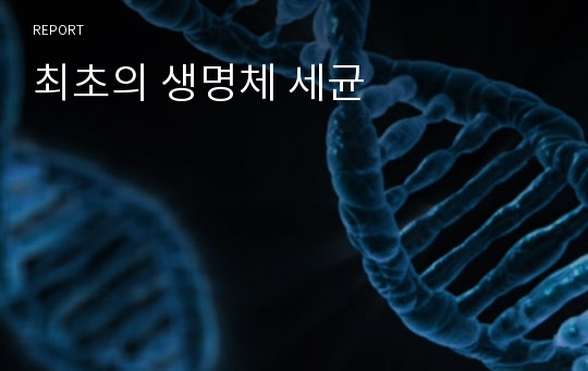 최초의 생명체 세균