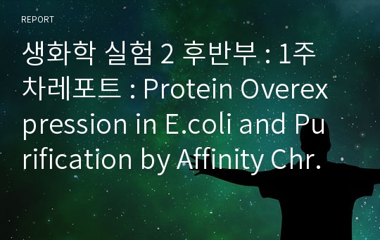 생화학 실험 2 후반부 : 1주차레포트 : Protein Overexpression in E.coli and Purification by Affinity Chromatography