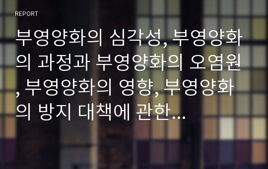 부영양화의 심각성, 부영양화의 과정과 부영양화의 오염원, 부영양화의 영향, 부영양화의 방지 대책에 관한 분석(부영양화의 심각성, 부영양화의 과정, 부영양화의 오염원, 부영양화의 영향, 부영양화의 방지대책)