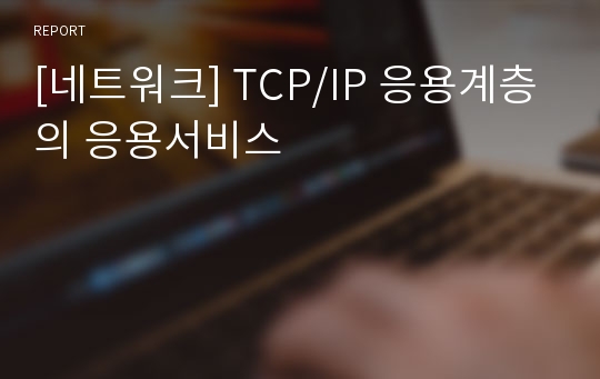 [네트워크] TCP/IP 응용계층의 응용서비스