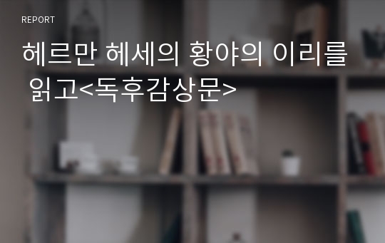 헤르만 헤세의 황야의 이리를 읽고&lt;독후감상문&gt;