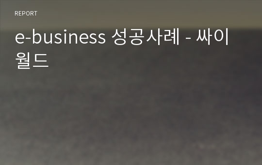 e-business 성공사례 - 싸이월드