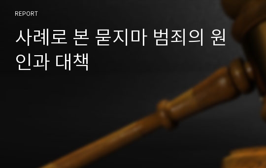 사례로 본 묻지마 범죄의 원인과 대책