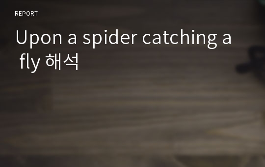 Upon a spider catching a fly 해석