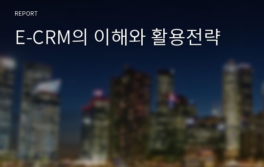 E-CRM의 이해와 활용전략