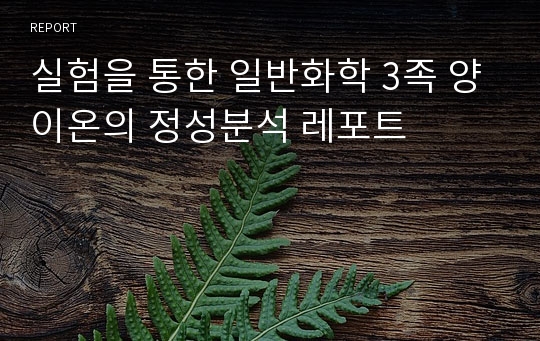 실험을 통한 일반화학 3족 양이온의 정성분석 레포트