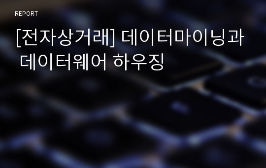 [전자상거래] 데이터마이닝과 데이터웨어 하우징