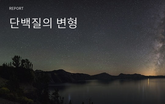 단백질의 변형