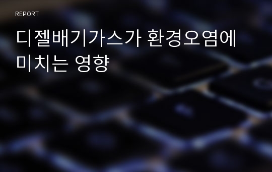 디젤배기가스가 환경오염에 미치는 영향