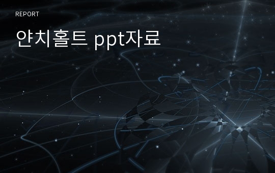 얀치홀트 ppt자료