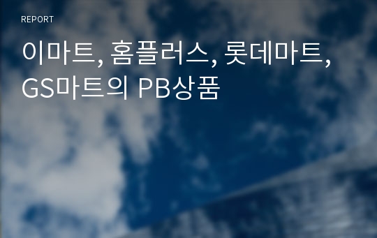 이마트, 홈플러스, 롯데마트, GS마트의 PB상품