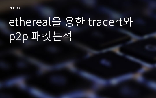 ethereal을 용한 tracert와 p2p 패킷분석