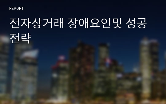 전자상거래 장애요인및 성공전략