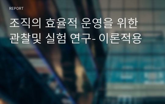 조직의 효율적 운영을 위한 관찰및 실험 연구- 이론적용