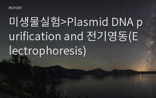 미생물실험&gt;Plasmid DNA purification and 전기영동(Electrophoresis)