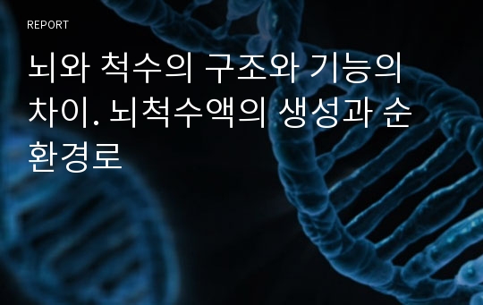 뇌와 척수의 구조와 기능의 차이. 뇌척수액의 생성과 순환경로