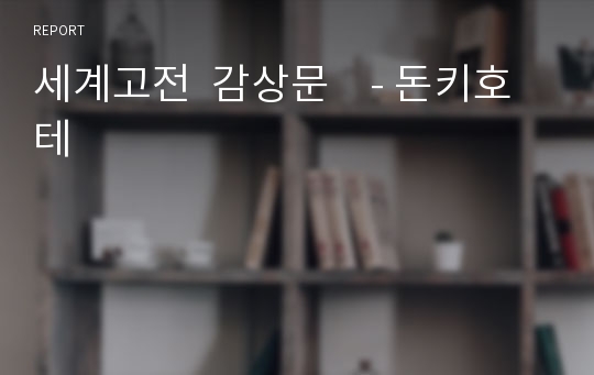 세계고전  감상문    - 돈키호테