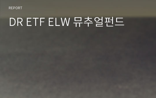 DR ETF ELW 뮤추얼펀드