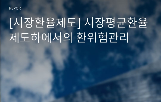 [시장환율제도] 시장평균환율제도하에서의 환위험관리