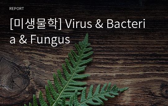 [미생물학] Virus &amp; Bacteria &amp; Fungus