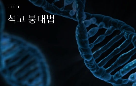 석고 붕대법