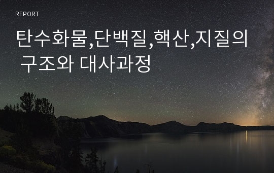 탄수화물,단백질,핵산,지질의 구조와 대사과정