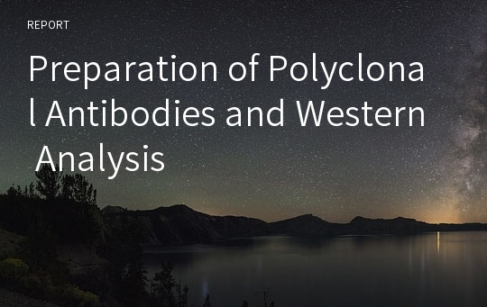 Preparation of Polyclonal Antibodies and Western Analysis