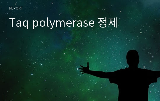 Taq polymerase 정제