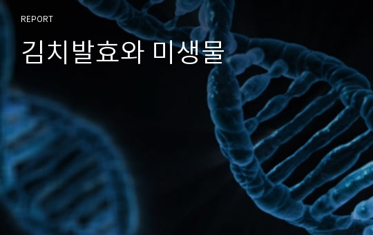 김치발효와 미생물