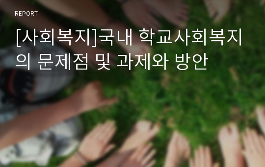 [사회복지]국내 학교사회복지의 문제점 및 과제와 방안