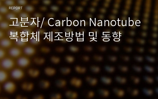 고분자/ Carbon Nanotube 복합체 제조방법 및 동향