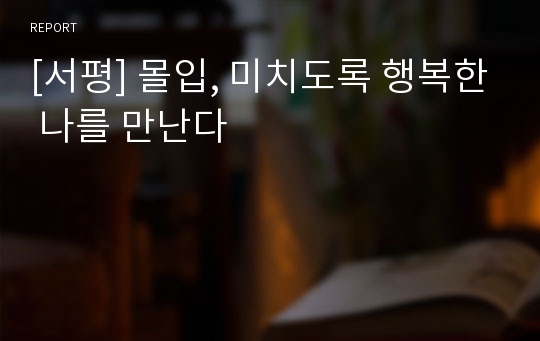 [서평] 몰입, 미치도록 행복한 나를 만난다