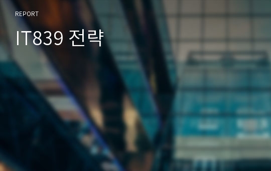 IT839 전략