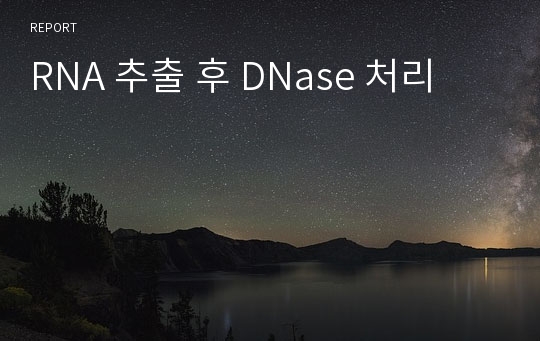 RNA 추출 후 DNase 처리