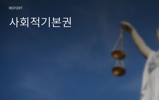 사회적기본권