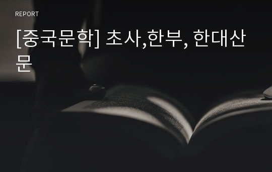 [중국문학] 초사,한부, 한대산문