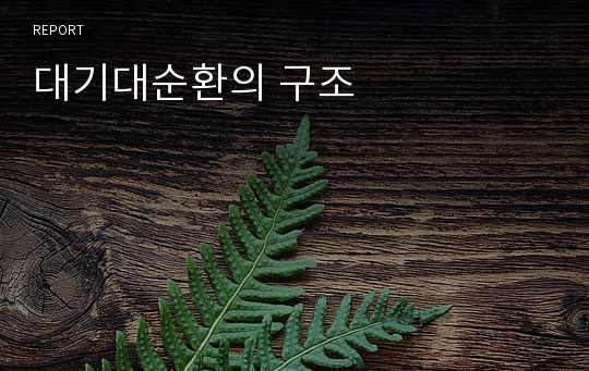 대기대순환의 구조