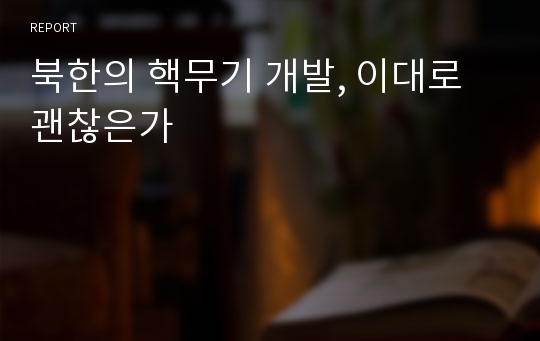 북한의 핵무기 개발, 이대로 괜찮은가