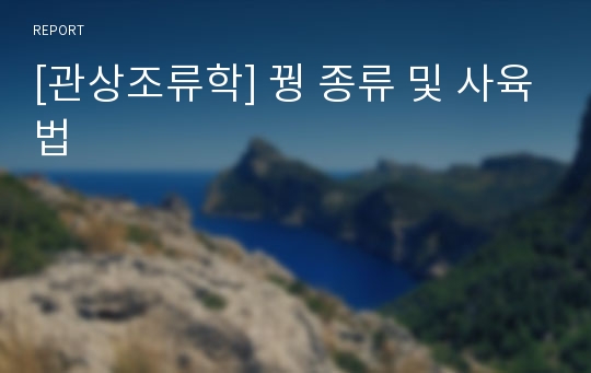 [관상조류학] 꿩 종류 및 사육법