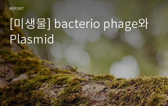 [미생물] bacterio phage와 Plasmid